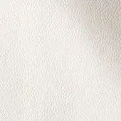 3067120 - NEVE